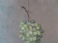 Tros druiven geschilderd op doek. `Tromp l`oeil`.