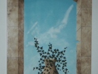 Doorkijk, Trompe l`oeil
